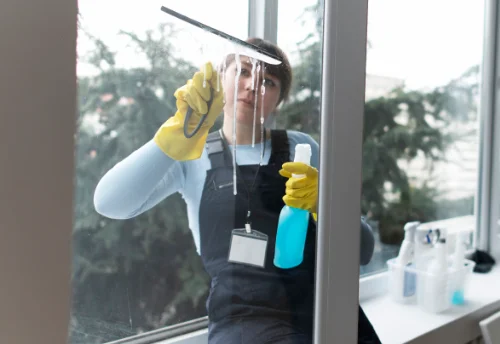 Nettoyage de vitres intérieures et extérieures à Louisfert